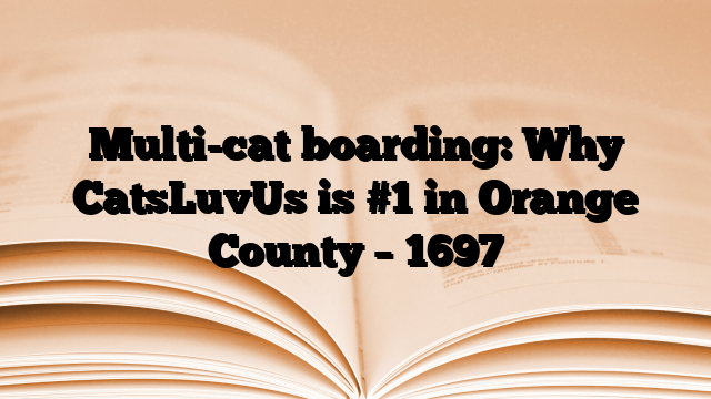 Multi-cat boarding: Why CatsLuvUs is #1 in Orange County