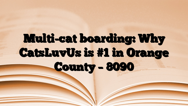 Multi-cat boarding: Why CatsLuvUs is #1 in Orange County