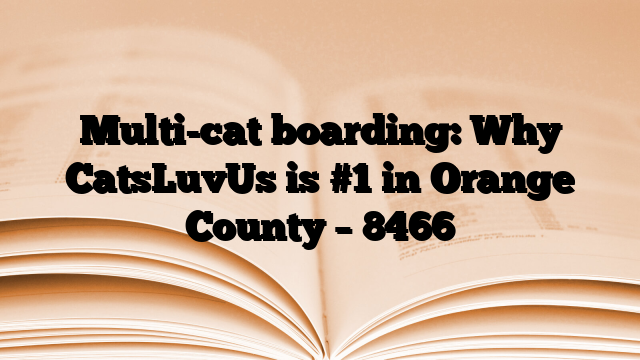 Multi-cat boarding: Why CatsLuvUs is #1 in Orange County