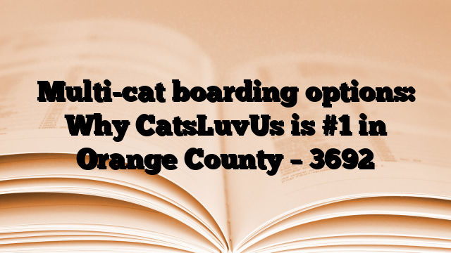 Multi-cat boarding options: Why CatsLuvUs is #1 in Orange County