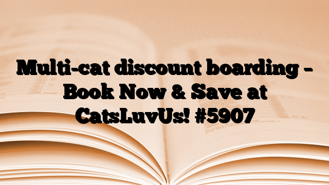 Multi-cat discount boarding – Book Now & Save at CatsLuvUs!