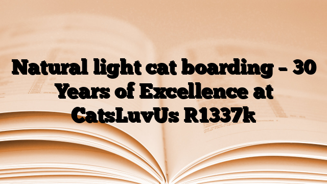 Natural light cat boarding – 30 Years of Excellence at CatsLuvUs