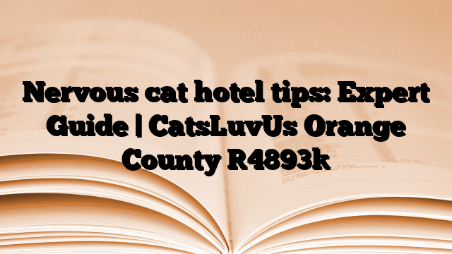 Nervous cat hotel tips: Expert Guide | CatsLuvUs Orange County