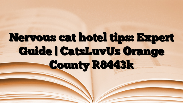 Nervous cat hotel tips: Expert Guide | CatsLuvUs Orange County