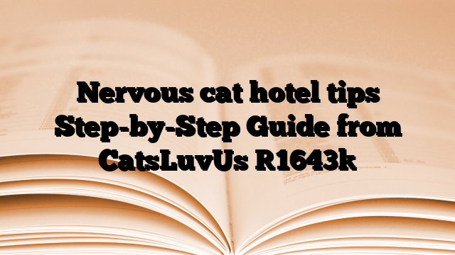 Nervous cat hotel tips Step-by-Step Guide from CatsLuvUs