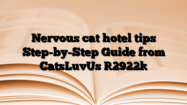 Nervous cat hotel tips Step-by-Step Guide from CatsLuvUs
