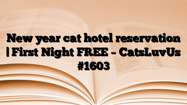 New year cat hotel reservation | First Night FREE – CatsLuvUs