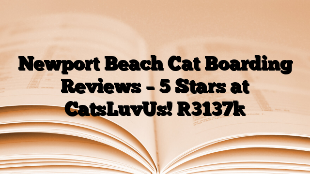 Newport Beach Cat Boarding Reviews – 5 Stars at CatsLuvUs!
