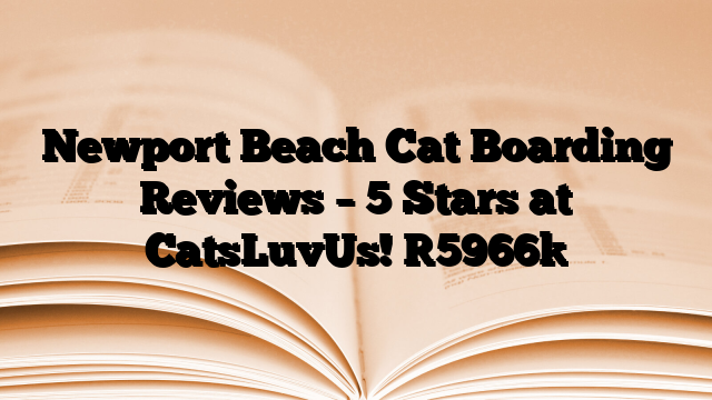 Newport Beach Cat Boarding Reviews – 5 Stars at CatsLuvUs!