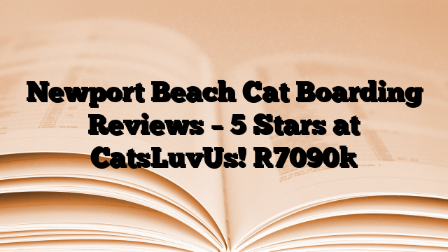 Newport Beach Cat Boarding Reviews – 5 Stars at CatsLuvUs!