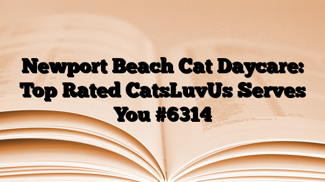 Newport Beach Cat Daycare: Top Rated CatsLuvUs Serves You