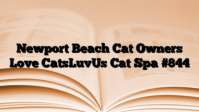 Newport Beach Cat Owners Love CatsLuvUs Cat Spa