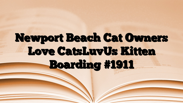 Newport Beach Cat Owners Love CatsLuvUs Kitten Boarding