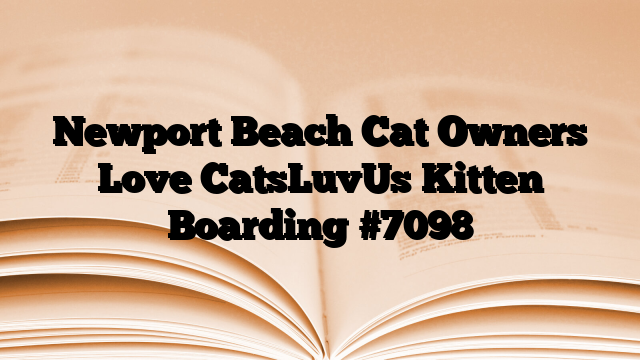 Newport Beach Cat Owners Love CatsLuvUs Kitten Boarding