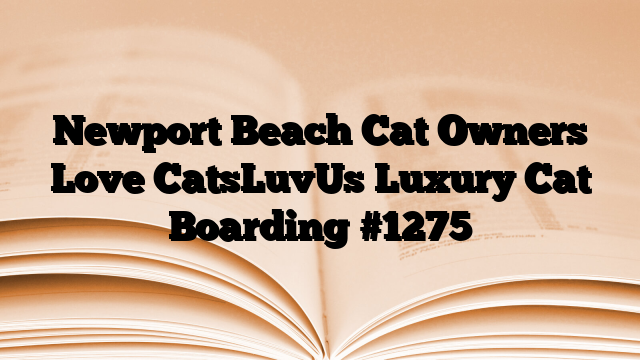 Newport Beach Cat Owners Love CatsLuvUs Luxury Cat Boarding