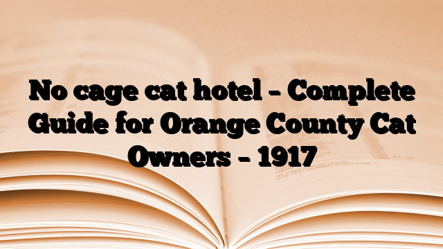 No cage cat hotel – Complete Guide for Orange County Cat Owners