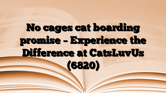 No cages cat boarding promise – Experience the Difference at CatsLuvUs