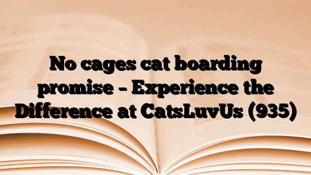 No cages cat boarding promise – Experience the Difference at CatsLuvUs