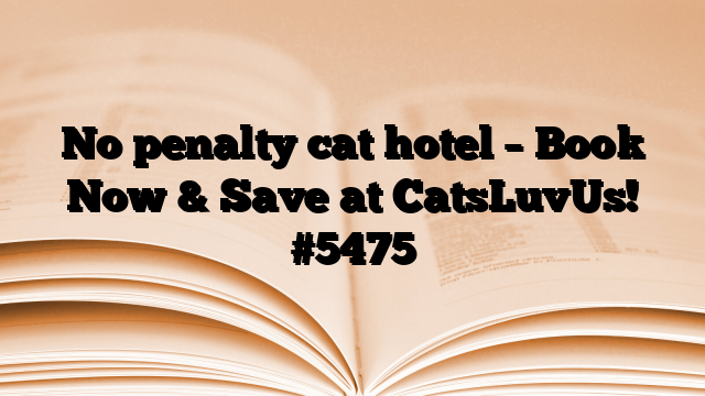 No penalty cat hotel – Book Now & Save at CatsLuvUs!