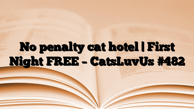 No penalty cat hotel | First Night FREE – CatsLuvUs