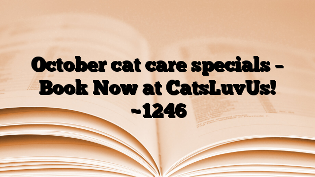 October cat care specials – Book Now at CatsLuvUs!