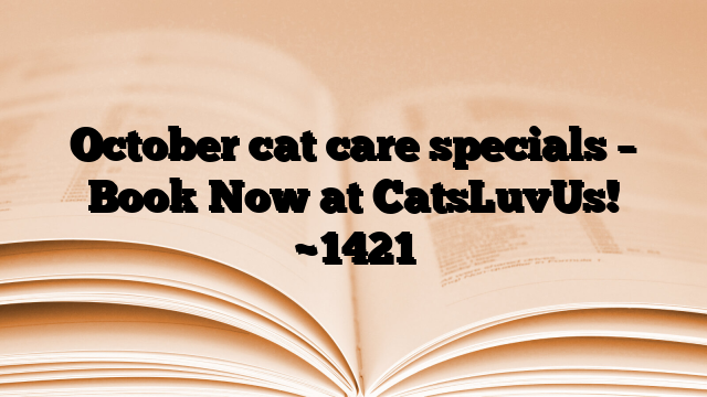 October cat care specials – Book Now at CatsLuvUs!