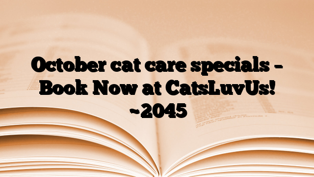 October cat care specials – Book Now at CatsLuvUs!