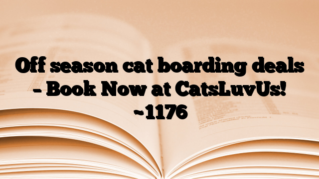 Off season cat boarding deals – Book Now at CatsLuvUs!
