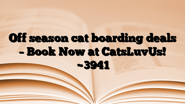 Off season cat boarding deals – Book Now at CatsLuvUs!