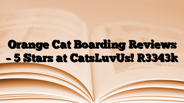 Orange Cat Boarding Reviews – 5 Stars at CatsLuvUs!