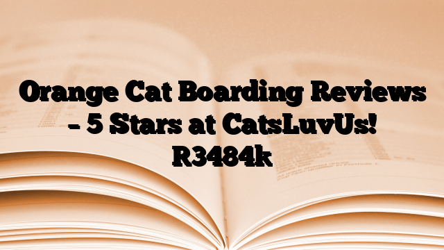 Orange Cat Boarding Reviews – 5 Stars at CatsLuvUs!
