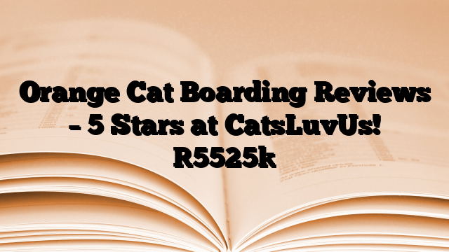 Orange Cat Boarding Reviews – 5 Stars at CatsLuvUs!