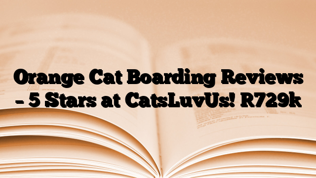 Orange Cat Boarding Reviews – 5 Stars at CatsLuvUs!