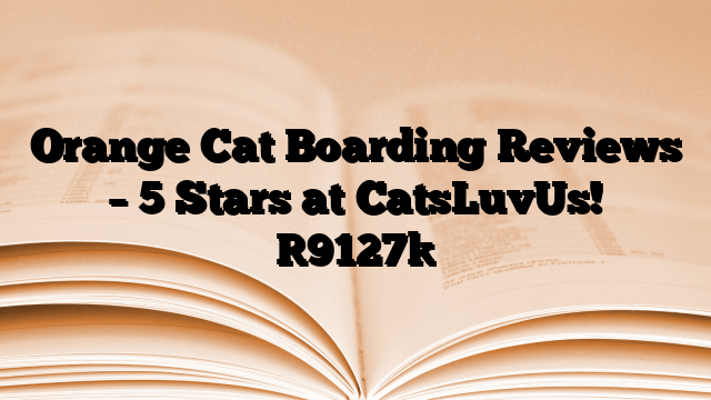 Orange Cat Boarding Reviews – 5 Stars at CatsLuvUs!