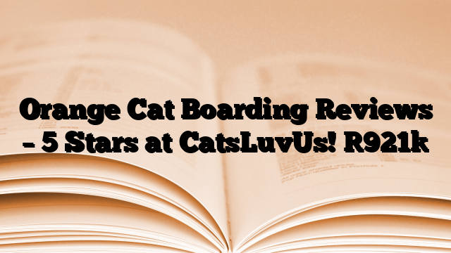Orange Cat Boarding Reviews – 5 Stars at CatsLuvUs!