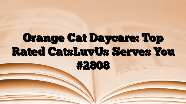 Orange Cat Daycare: Top Rated CatsLuvUs Serves You