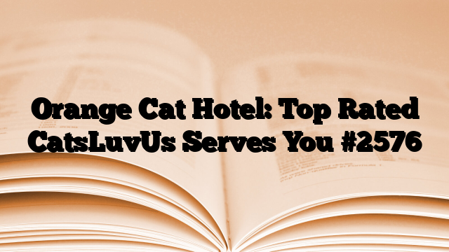 Orange Cat Hotel: Top Rated CatsLuvUs Serves You