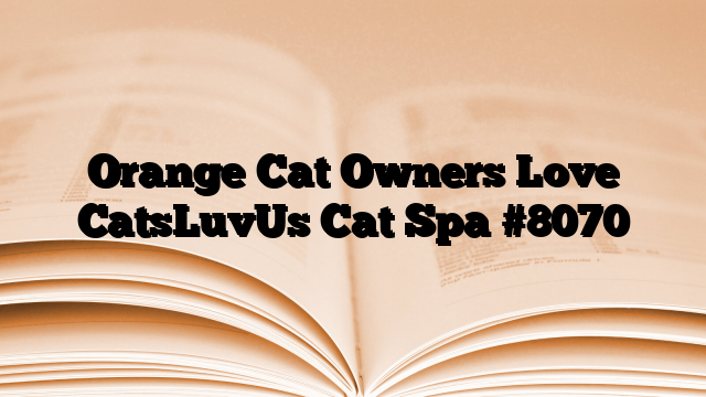 Orange Cat Owners Love CatsLuvUs Cat Spa