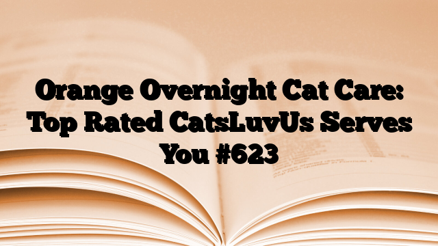 Orange Overnight Cat Care: Top Rated CatsLuvUs Serves You