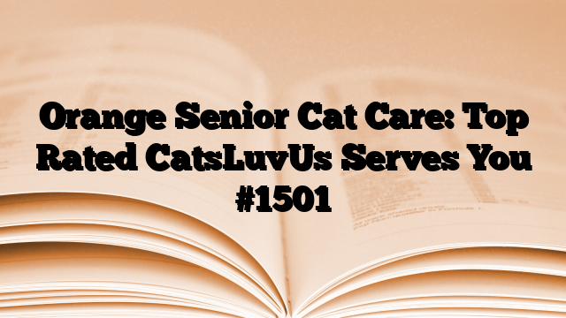 Orange Senior Cat Care: Top Rated CatsLuvUs Serves You