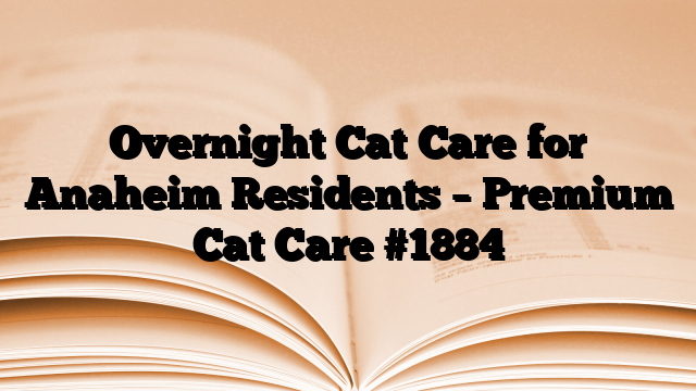 Overnight Cat Care for Anaheim Residents – Premium Cat Care