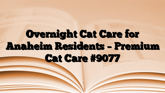 Overnight Cat Care for Anaheim Residents – Premium Cat Care