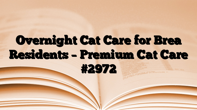 Overnight Cat Care for Brea Residents – Premium Cat Care