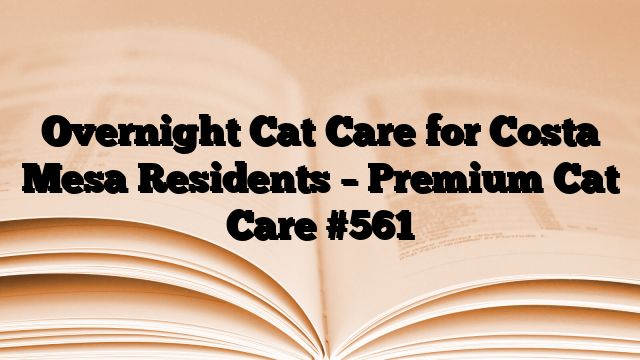 Overnight Cat Care for Costa Mesa Residents – Premium Cat Care