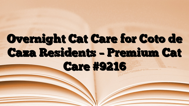 Overnight Cat Care for Coto de Caza Residents – Premium Cat Care
