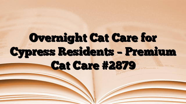 Overnight Cat Care for Cypress Residents – Premium Cat Care