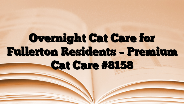Overnight Cat Care for Fullerton Residents – Premium Cat Care