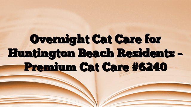 Overnight Cat Care for Huntington Beach Residents – Premium Cat Care