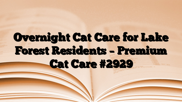 Overnight Cat Care for Lake Forest Residents – Premium Cat Care