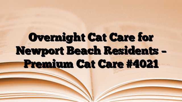 Overnight Cat Care for Newport Beach Residents – Premium Cat Care
